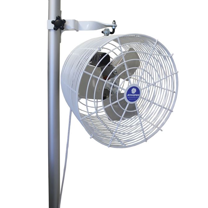 Tent Fan Image